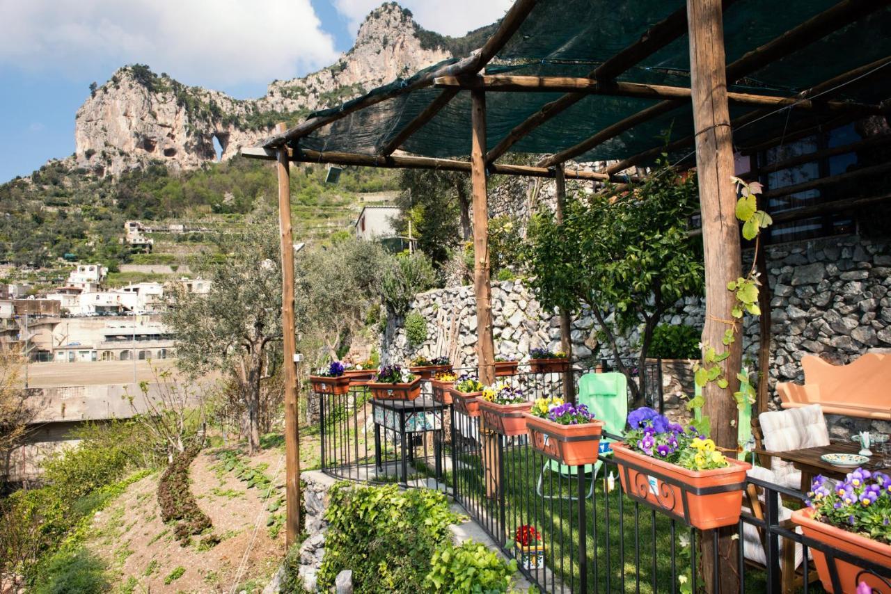 Villa Laura amazing breakfast, Positano experience Esterno foto